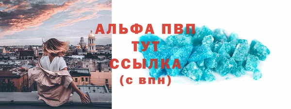 стаф Семикаракорск