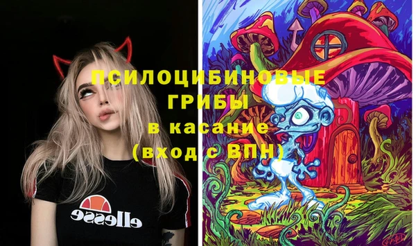 jwh Бородино