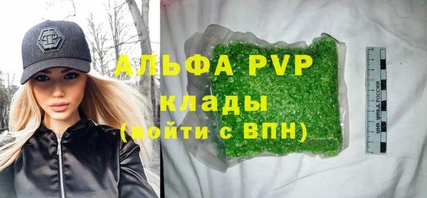 сатива Бронницы