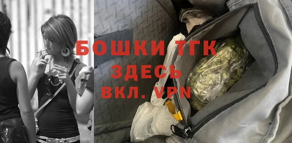 сатива Бронницы